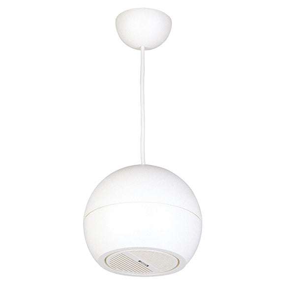 DSP107W Pendant Speakers Sound Projector