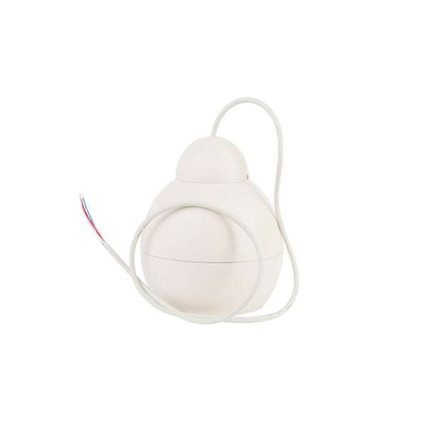 DSP107W Pendant Speakers Sound Projector