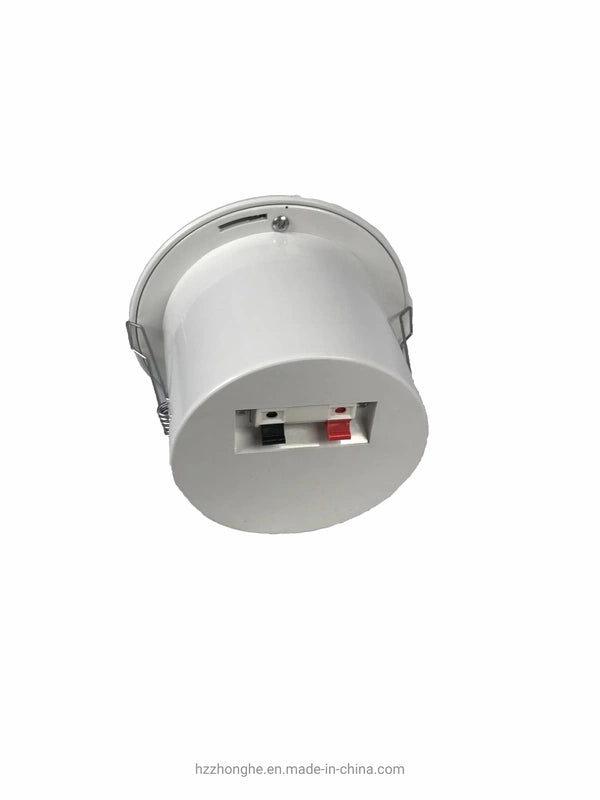 Public Ceiling Speakers CLS623