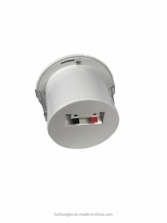 Public Ceiling Speakers CLS623