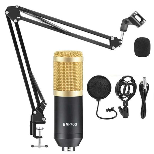 BM-700 Professional Condenser Microphone Full Set