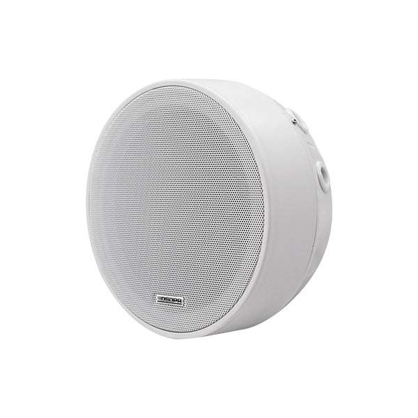 DSP5311 6.5 Inch Surface Mount Ceiling Speaker