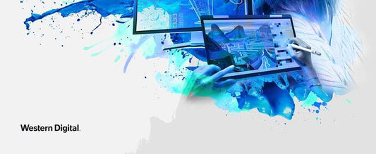 WD Blue SN570 NVMe M.2 2280 1TB PCI-Express 3.0 x4 3D NAND Up to 3,500 MB/s