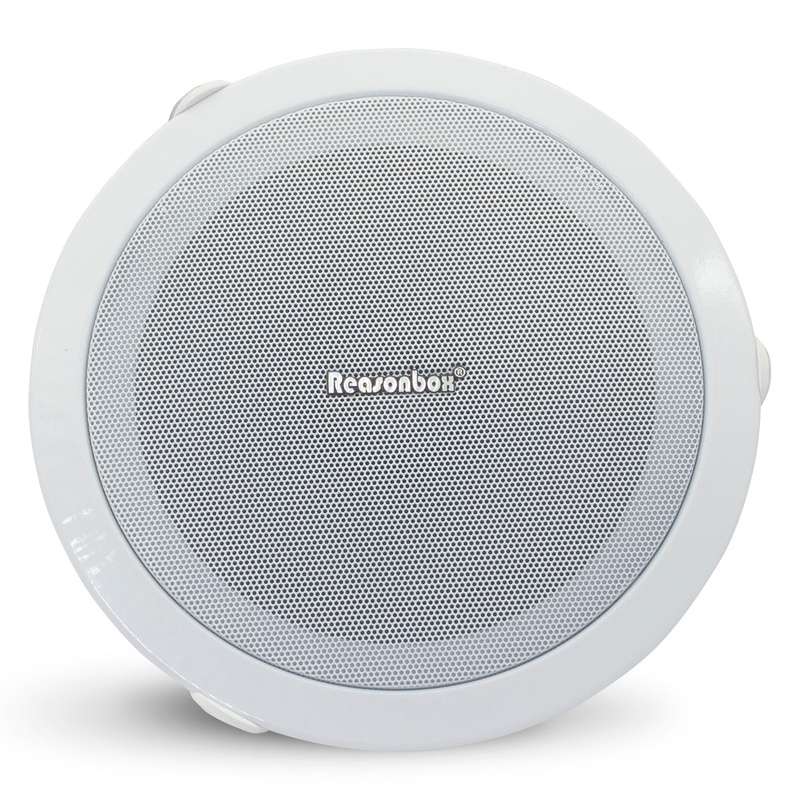 REASONBOX Ceiling Speaker RX-C601